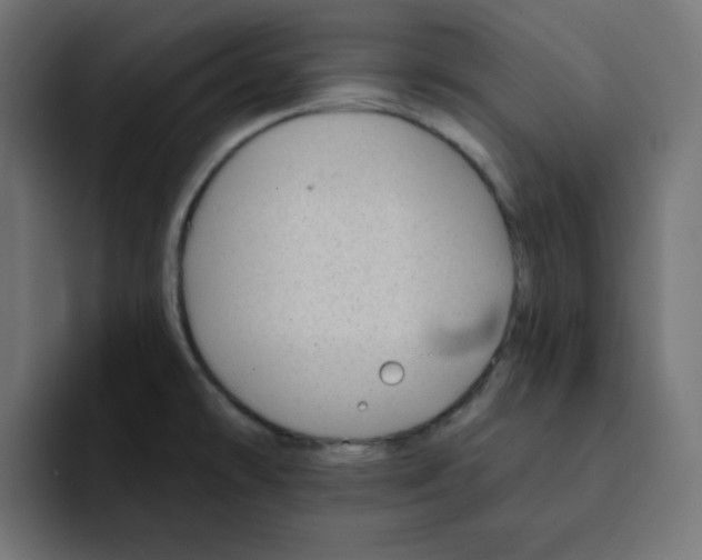 X0000092011478200710041016