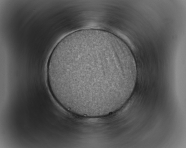 X0000092011479200710041016