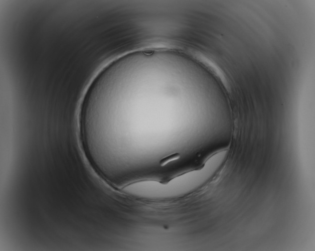 X0000092011483200710041016