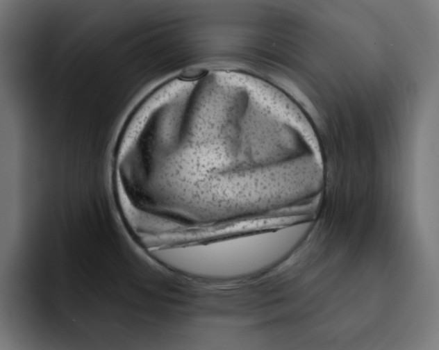 X0000092011484200710041016