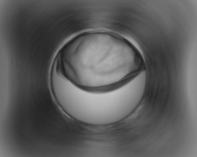 X0000092011485200710041016