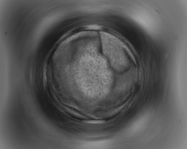 X0000092011487200710041016