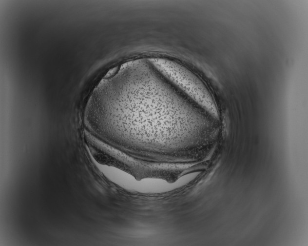 X0000092011494200710041016