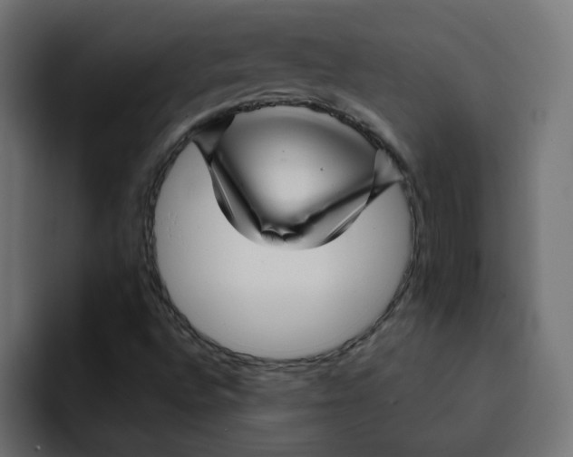 X0000092011496200710041016