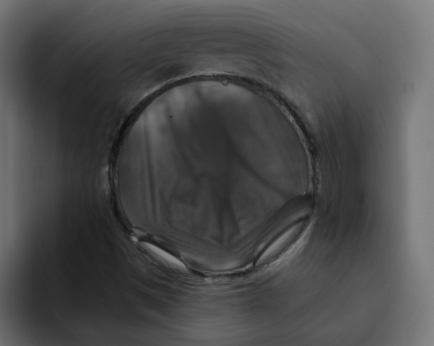 X0000092011497200710041016