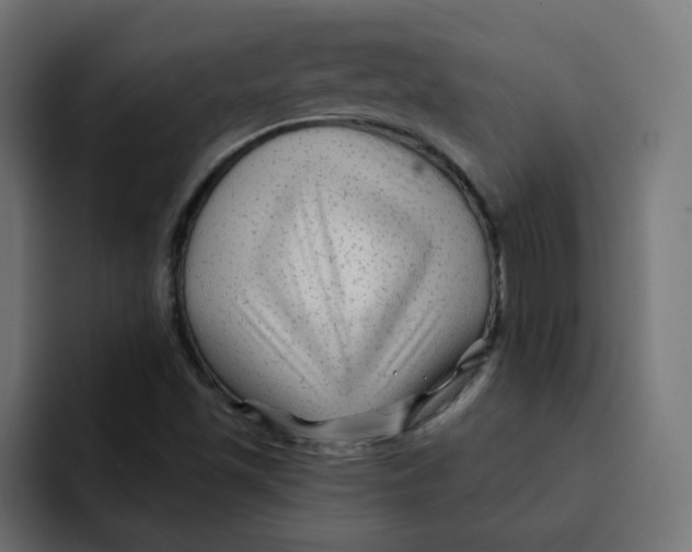 X0000092011501200710041016