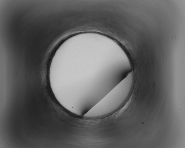 X0000092011502200710041016