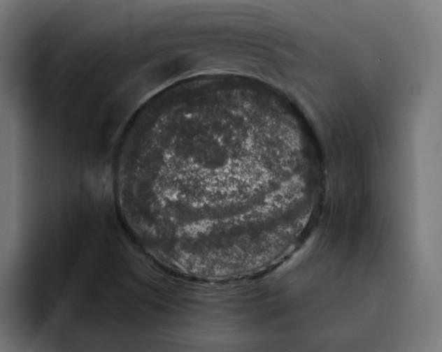 X0000092011505200710041016