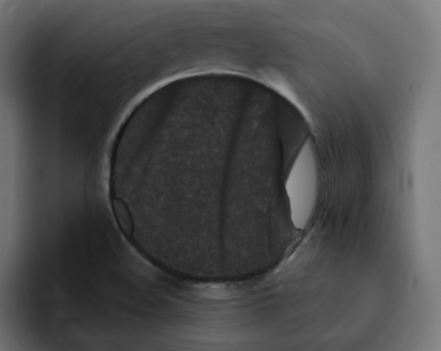 X0000092011508200710041016