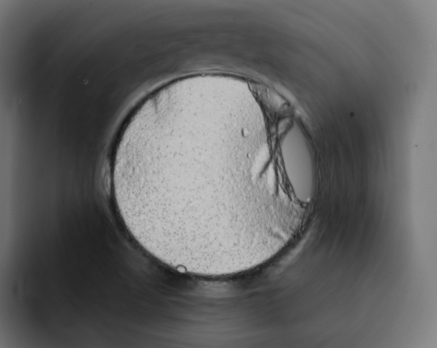 X0000092011509200710041016