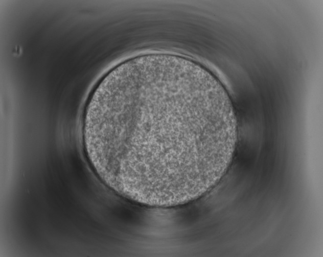 X0000092011514200710041016