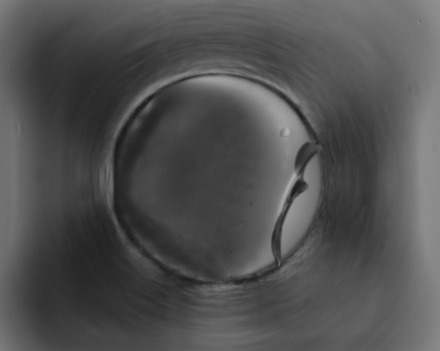 X0000092011515200710041016