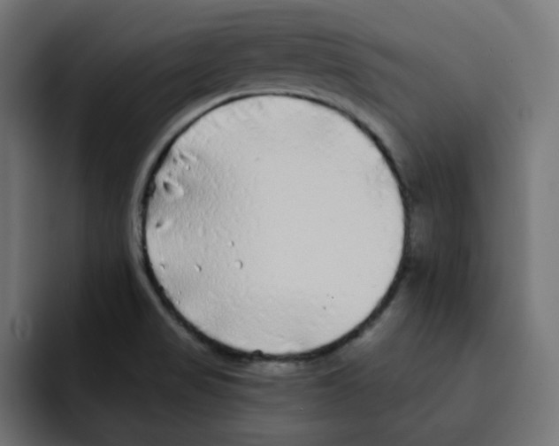 X0000092011517200710041016