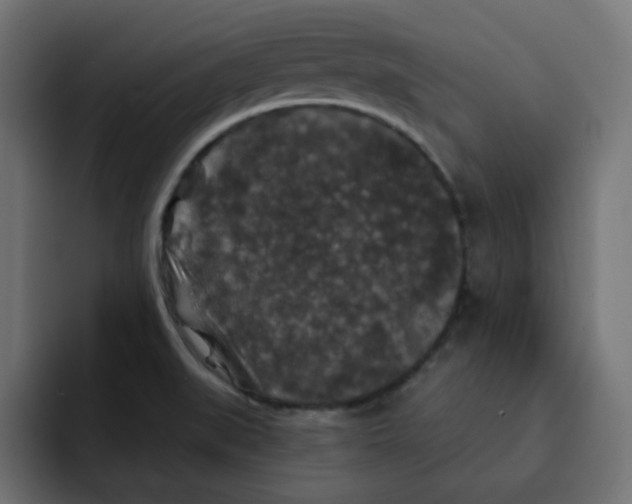 X0000092011519200710041016