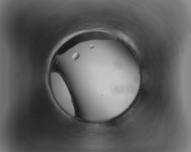 X0000092011520200710041016