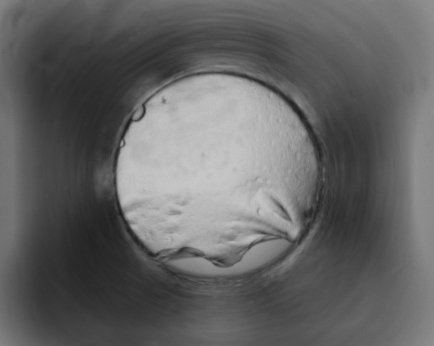 X0000092011521200710041016