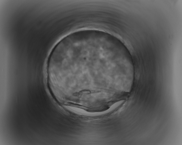 X0000092011522200710041016