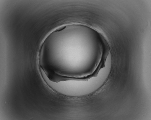 X0000092011524200710041016