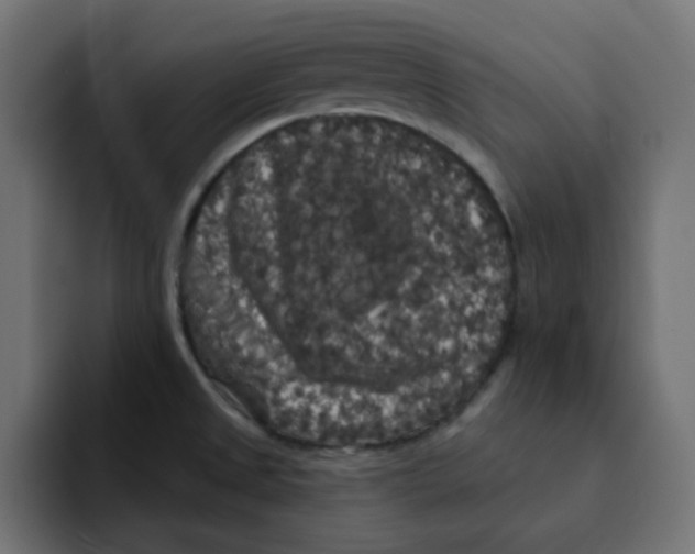 X0000092011525200710041016