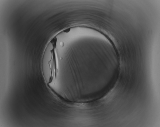 X0000092011529200710041016