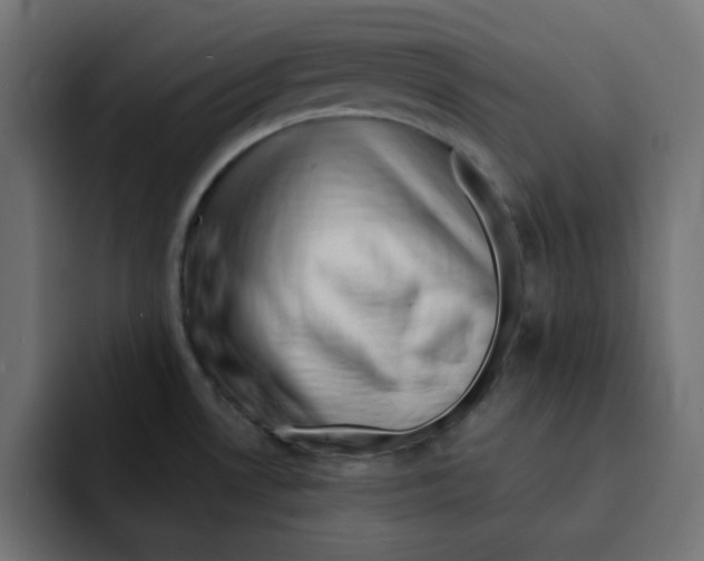 X0000092011530200710041016