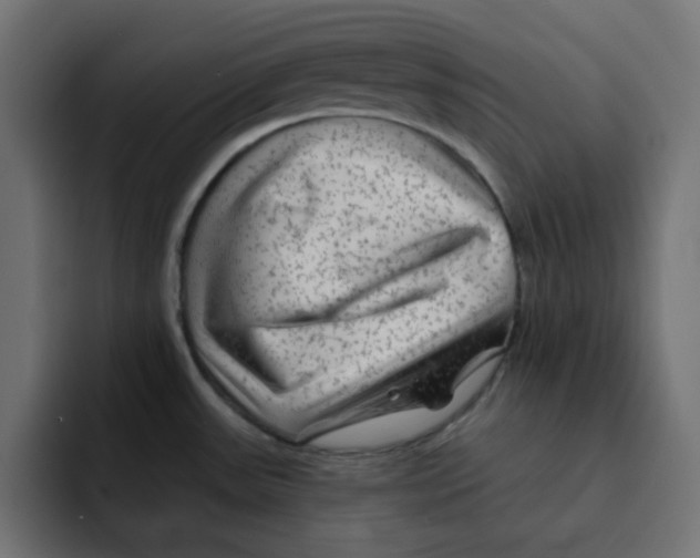 X0000092011531200710041016