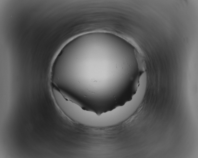 X0000092011532200710041016