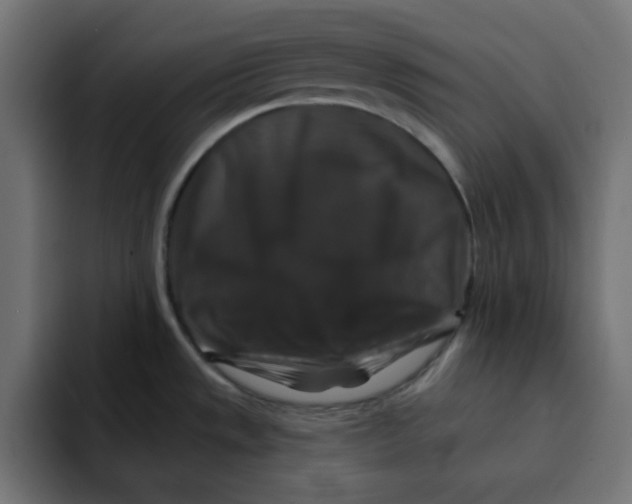 X0000092011533200710041016