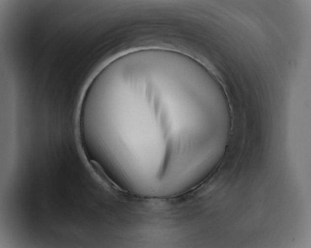 X0000092011536200710041016