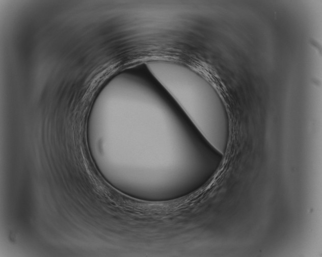 X0000092020001200709061339