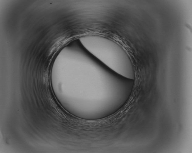 X0000092020002200709061339