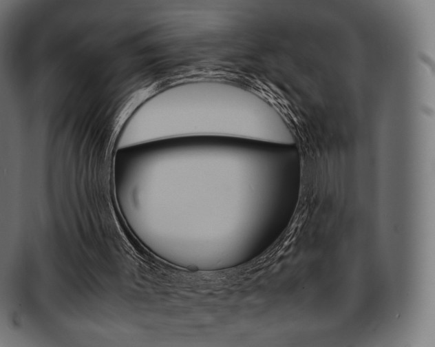 X0000092020003200709061339
