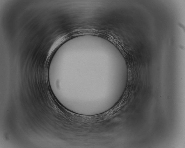 X0000092020004200709061339