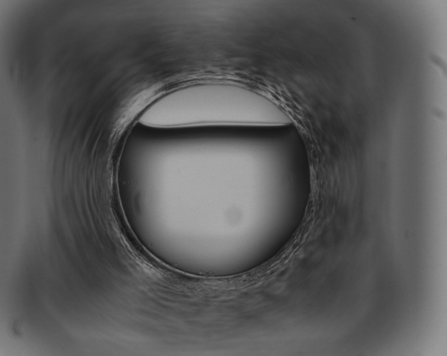 X0000092020005200709061339