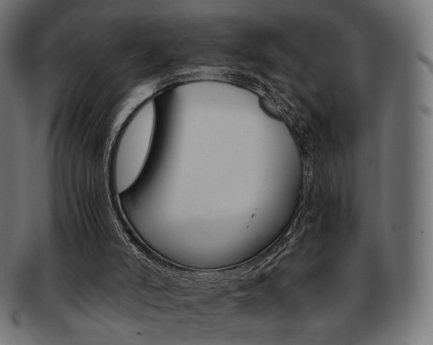 X0000092020006200709061339