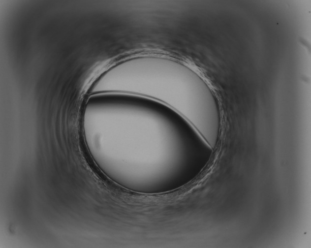 X0000092020007200709061339