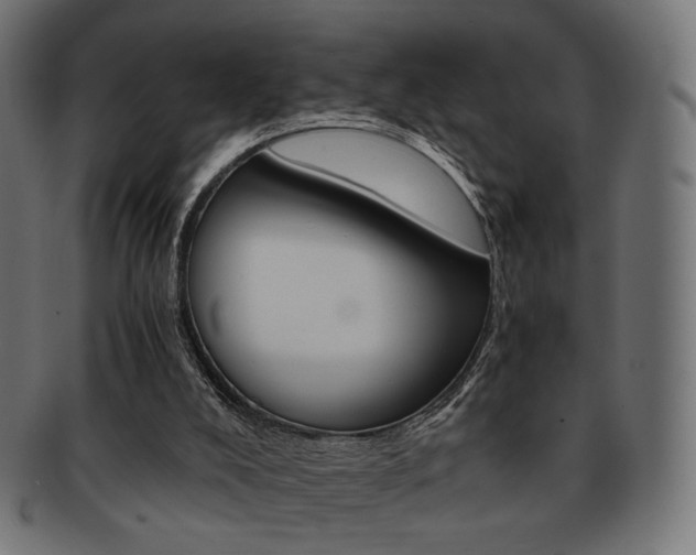 X0000092020008200709061339