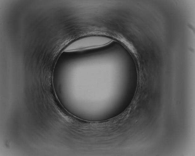 X0000092020009200709061339