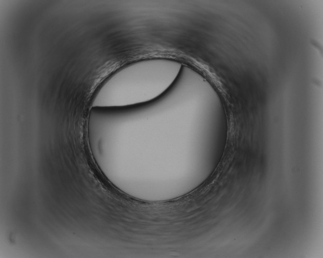 X0000092020010200709061339