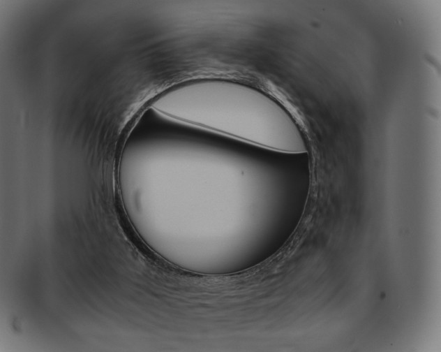 X0000092020011200709061339