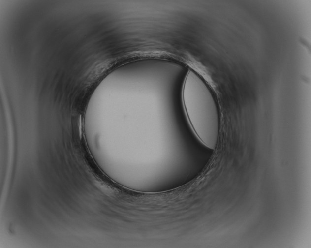 X0000092020013200709061339