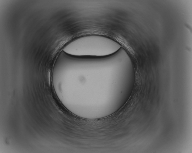 X0000092020014200709061339