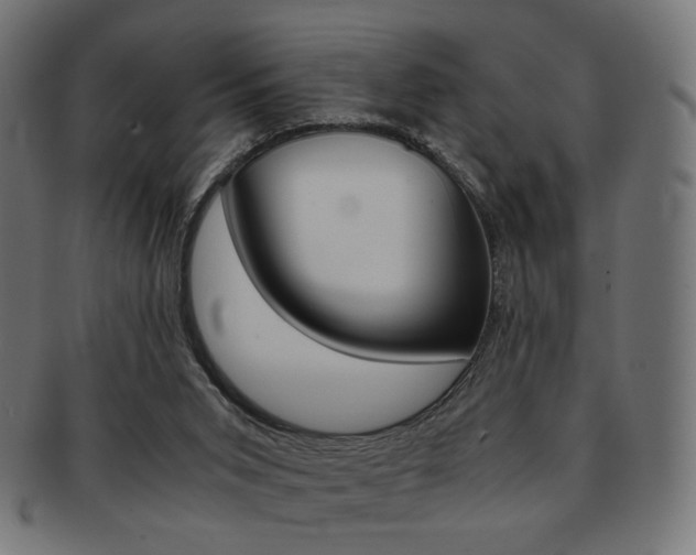 X0000092020015200709061339