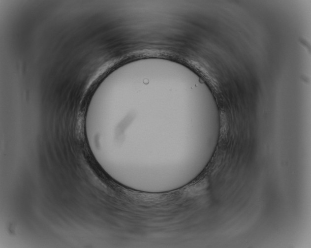 X0000092020016200709061339