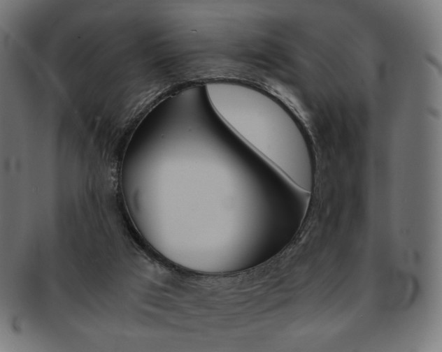 X0000092020017200709061339