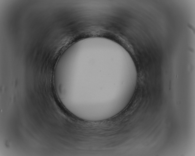 X0000092020018200709061339