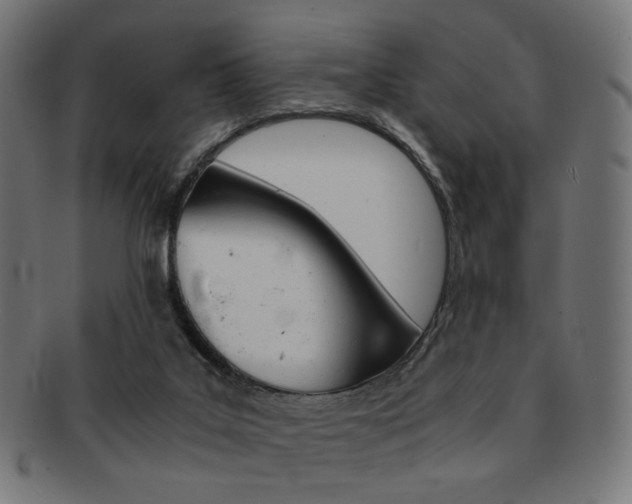 X0000092020019200709061339