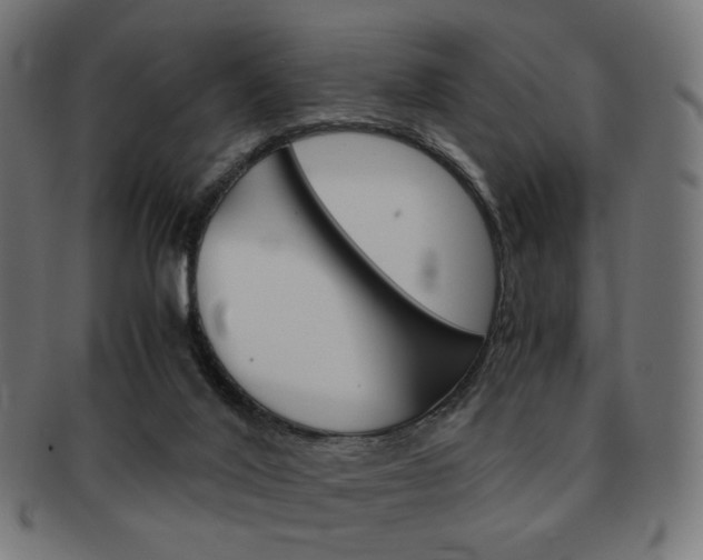 X0000092020020200709061339