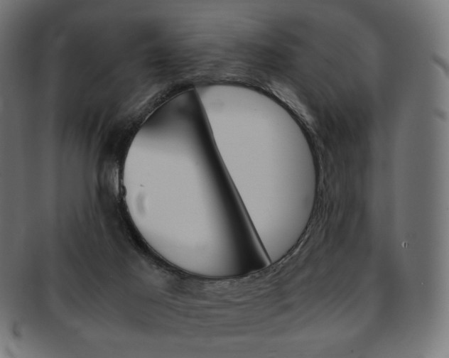 X0000092020021200709061339