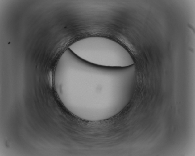 X0000092020022200709061339